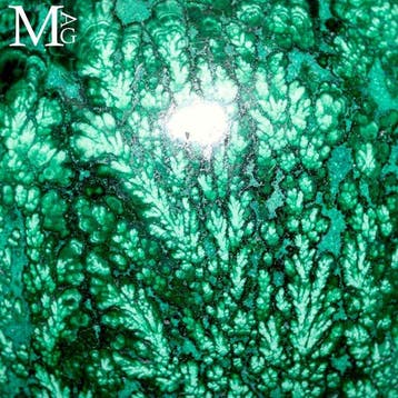 Malachite verte éclatante - motifs complexes Formations, Collections