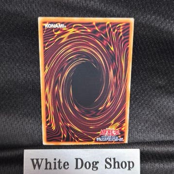 Konami - 1 Card - Yu-Gi-Oh! - Toon Dark Magician Girl Over, Nieuw