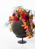 Oasis® black ideal bal 20 cm per stuk zwart steekschuim oase, Nieuw