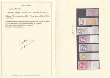 België 1905 - Grove baard - OBP : 74/80 meeste met bladboord, Gestempeld