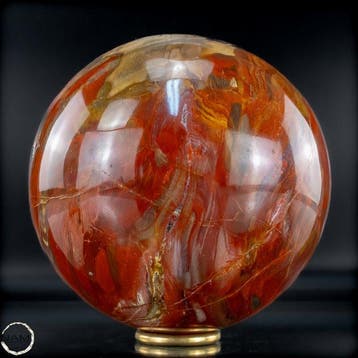 Natuurlijke sfeer van versteend hout- 3878.44 g