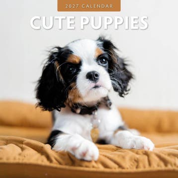 Red Robin Wall Kalender 2027 - Cute Puppies, Ophalen of Verzenden