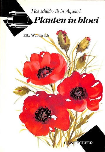 HOE SCHILDER IK IN AQUAREL PLANTEN 9789021322100, Verzenden, Gelezen, E. Wunderlich