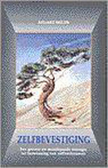 ZELFBEVESTIGING 9789063782177 S. Wilde, Verzenden, Gelezen, S. Wilde