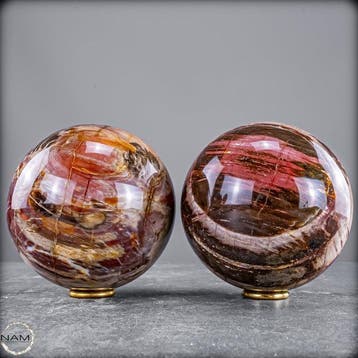 Versteend hout-kogelset – twee fascinerende