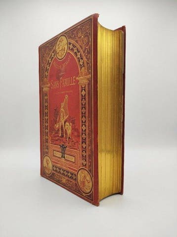 Hector Malot - Sans famille - Magnifique cartonnage