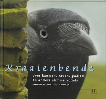 Kraaienbende 9789050112291 G.J. Roebers, Verzenden, Zo goed als nieuw, G.J. Roebers
