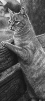 Yevhen Karpenko - Waiting