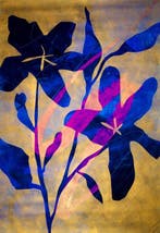 Lupo - Urban Jungle 414 - Certificated - Real Gold - XXL