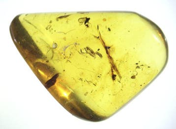 Birmese barnsteen - Barnsteen - 10 Burmese Amber Pieces with