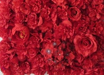 Flowerwall 40x60 cm 3D Rood Kant en Klaar kleur 14