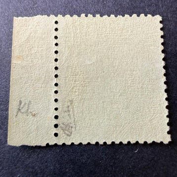 Frankrijk - Yvert 20 Napoléon 5c groen geperforeerd in, Postzegels en Munten, Gestempeld