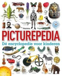 Picturepedia 9789002261978, Livres, Verzenden