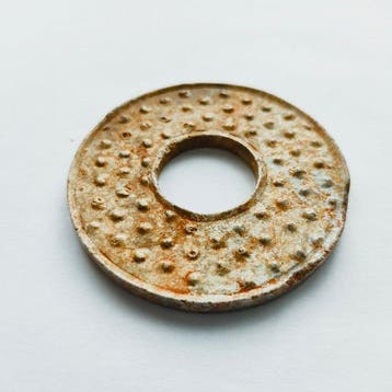 Oud-Chinees Hard Stone Reisritueel Bi-disc - Kracht van het