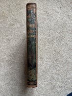 F. Depelechin - Les Forêts de la France - 1886