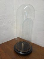 Globe - stolp - antiek - 1901-1920 - Grande cloche antique