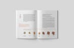 The Artisan Roaster 9780648552000 David Rosa, Verzenden, David Rosa