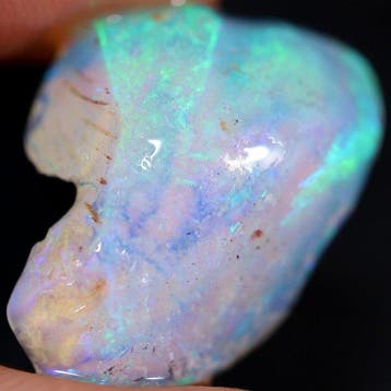 6,55 ct Opale brute fossile de coquille bleu vert néon, Verzamelen
