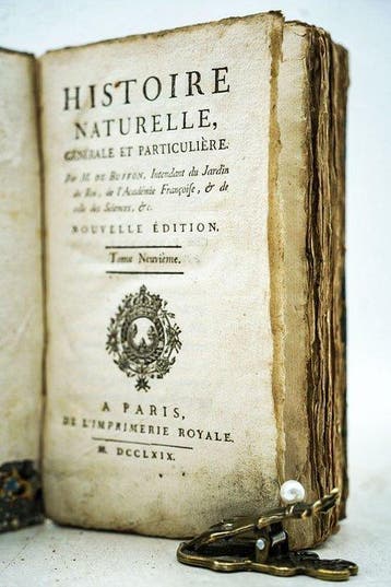 Georges-Louis Leclerc de Buffon - Histoire naturelle,