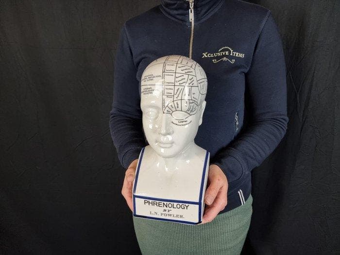 Beeld, Phrenology Head 28.5cm - 28.5 cm - Porselein - 2026, Antiquités & Art, Art | Objets design
