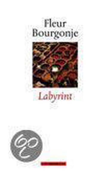 Labyrint 9789045009933 F. Bourgonje, Verzenden, Gelezen, F. Bourgonje