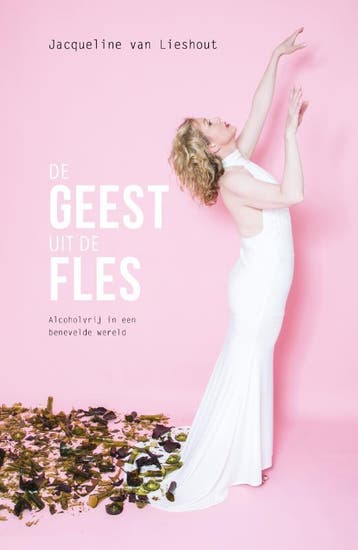 De geest uit de fles 9789082500745 Jacqueline Van Lieshout, Boeken, Verzenden, Zo goed als nieuw, Jacqueline Van Lieshout