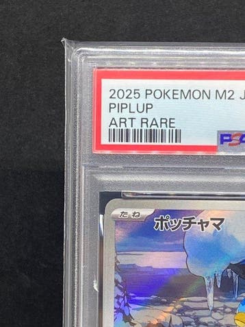 Pokémon - 1 Graded card - Piplup #085/080 AR Foil - PSA 10