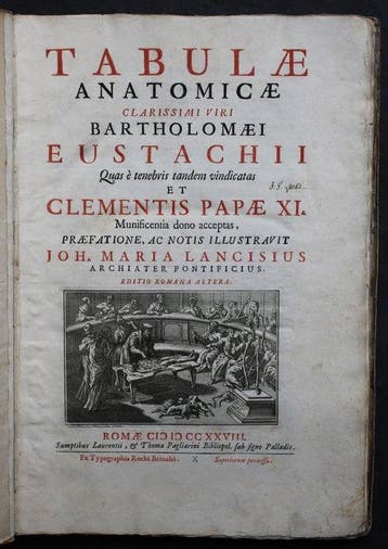 Bartolomeo Eustachi - Tabulae anatomicae. - 1728