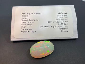1 pcs Meerkleurig, Wit, Geel Opaal - 25.66 ct - Antwerp