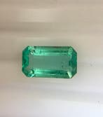 1 pcs Groen Smaragd - 2.69 ct - International Gemological, Nieuw