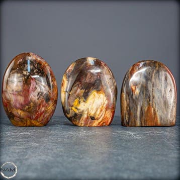 Natuurlijk versteend hout-set uit Madagaskar –