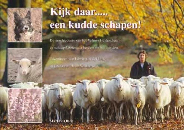 Kijk Daar... Een Kudde Schapen! 9789078215318 Marcel Otten, Boeken, Geschiedenis | Stad en Regio, Gelezen, Verzenden