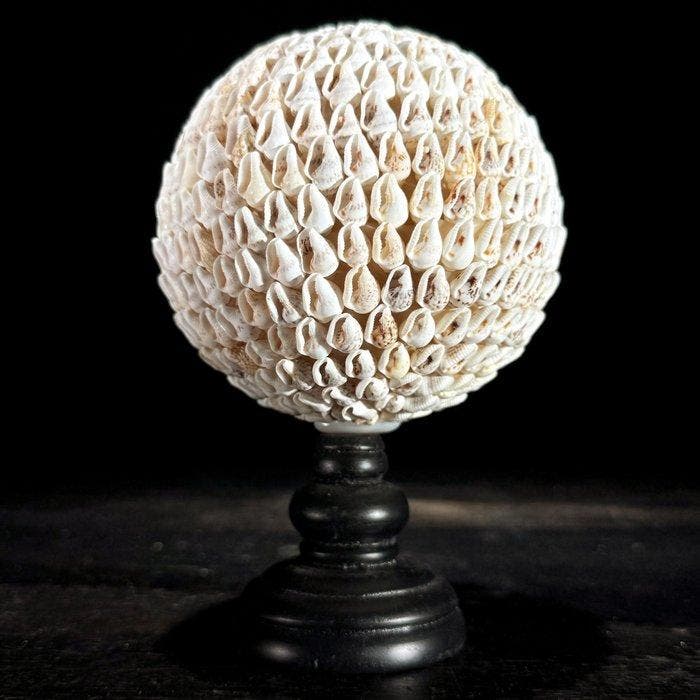 Decoratief ornament - NO RESERVE PRICE - Stunning pair of, Antiquités & Art, Art | Objets design