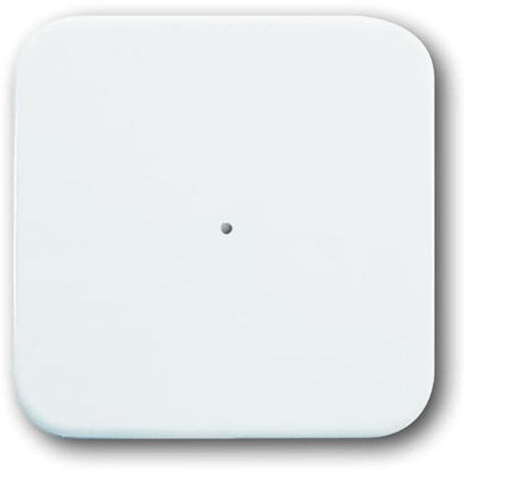 ABB Busch-Jaeger 6731-214-500 WaveLine Sensor 1V R-Alpin -, Bricolage & Construction, Systèmes d'alarme, Envoi