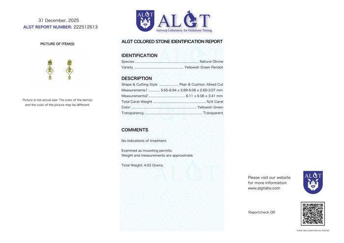 Zonder minimumprijs - Oorbellen Zilver - Peridot -, Bijoux, Sacs & Beauté, Boucles d'oreilles