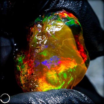 Crystal Opal – Een vuurwerk van licht en kleur 34,35 ct-