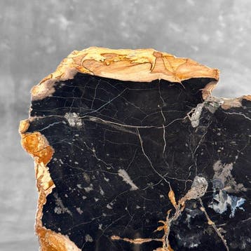 Prachtige schijf versteend hout op een op maat gemaakte