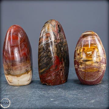 Prachtige set van versteend hout – Vrijvormen- 2017.64 g -