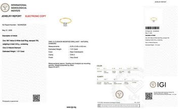Sans prix de réserve - Bague - 18 carats Or jaune, Or blanc, Nieuw
