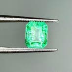 Groen Smaragd - 1.44 ct - International Gemological
