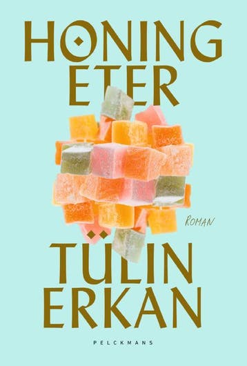 Honingeter 9789463105781 Tülin Erkan, Boeken, Verzenden, Zo goed als nieuw, Tülin Erkan