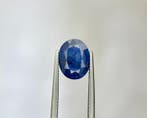 Zonder minimumprijs - 1 pcs Blauw Saffier - 4.80 ct - Lotus, Nieuw