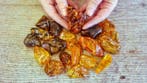 Baltisch amber - met bloemige insluitsels - Barnsteen - 216