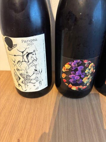2024 Allante & Boulanger Pineau dAulnis, 2023 Turlier, Nieuw