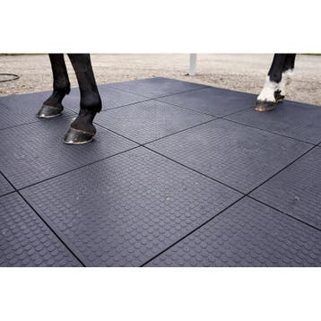 Agroclickstalmat 100x100 cm - tapis décurie en pvc à, Animaux & Accessoires, Neuf
