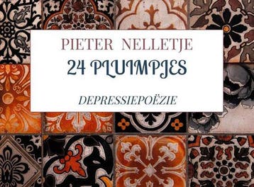 24 pluimpjes 9789403712956 Pieter Nelletje, Verzenden, Pieter Nelletje