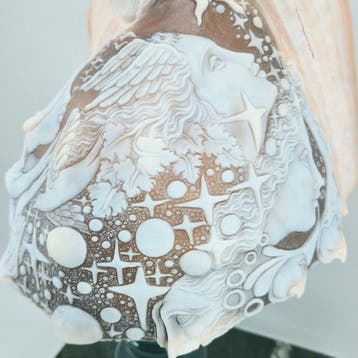 CASSIS MADAGASCARIENSIS Cameo - Handgegraveerde schelp