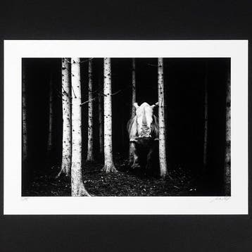 Frank Machalowski - tierwald#153