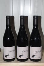 2022 Daniel Twardowski Pinot Noix - Ardoise Spätburgunder