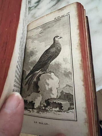 Georges-Louis Leclerc, Comte de Buffon - Histoire Naturelle